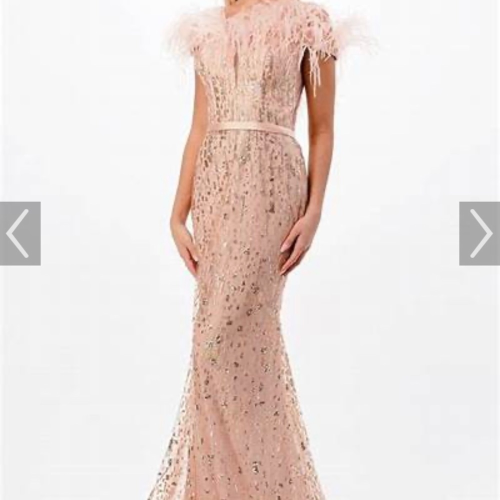 Cinderella Gown Dress